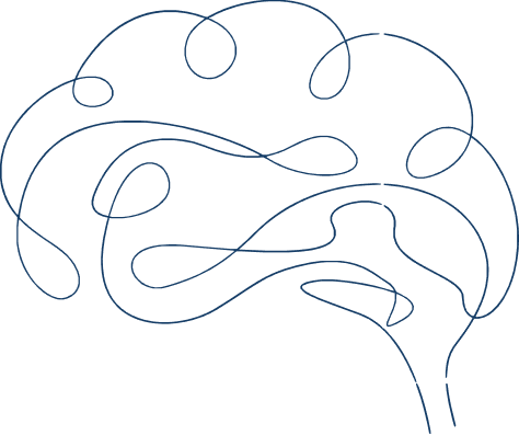 cerebro2